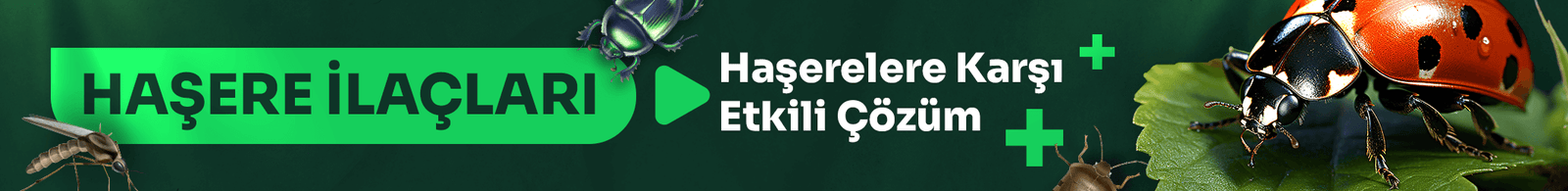 Masaüstü Banner