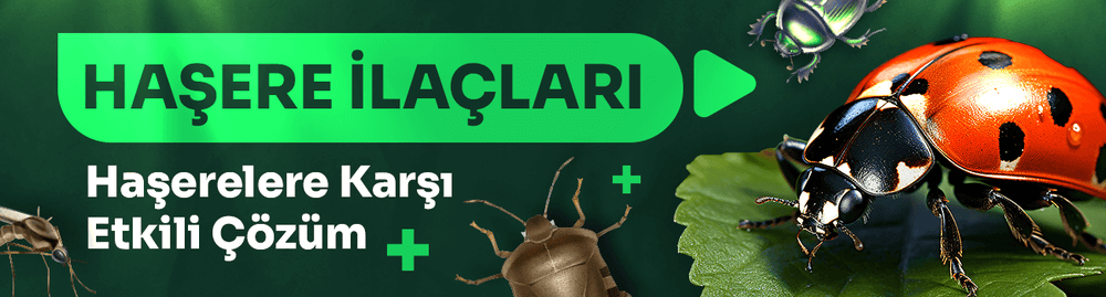 Mobil Banner