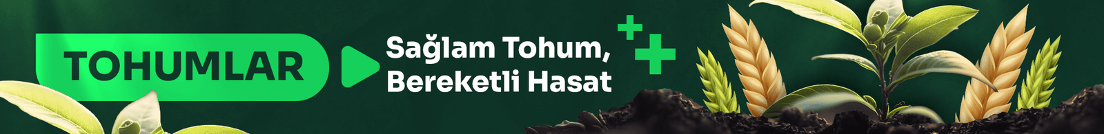 Masaüstü Banner