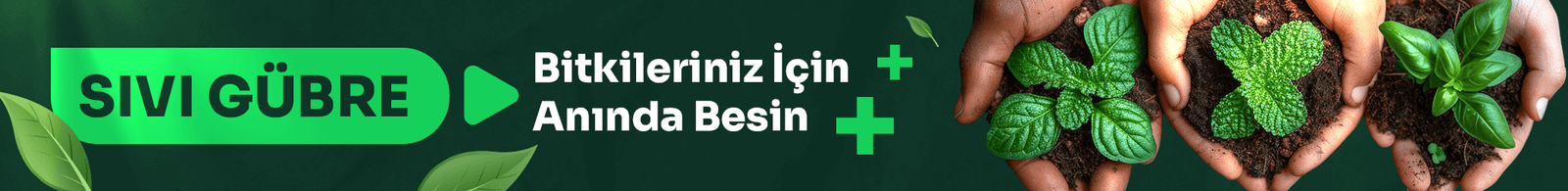 Masaüstü Banner